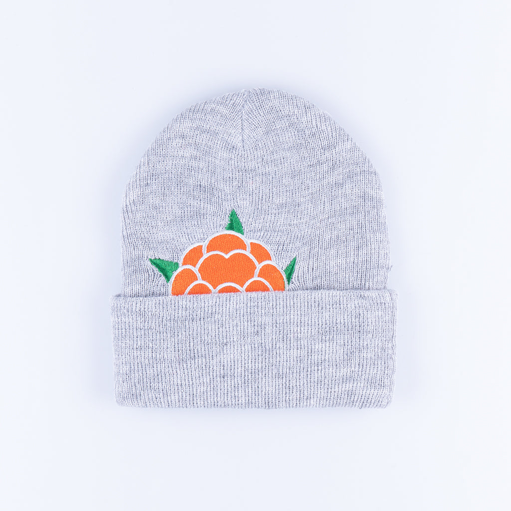 CB HIDEOUT BEANIE - GREY