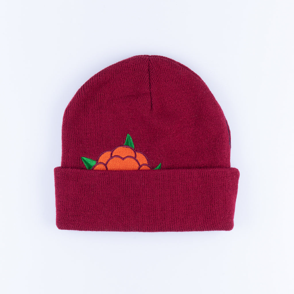CB HIDEOUT BEANIE - MAROON