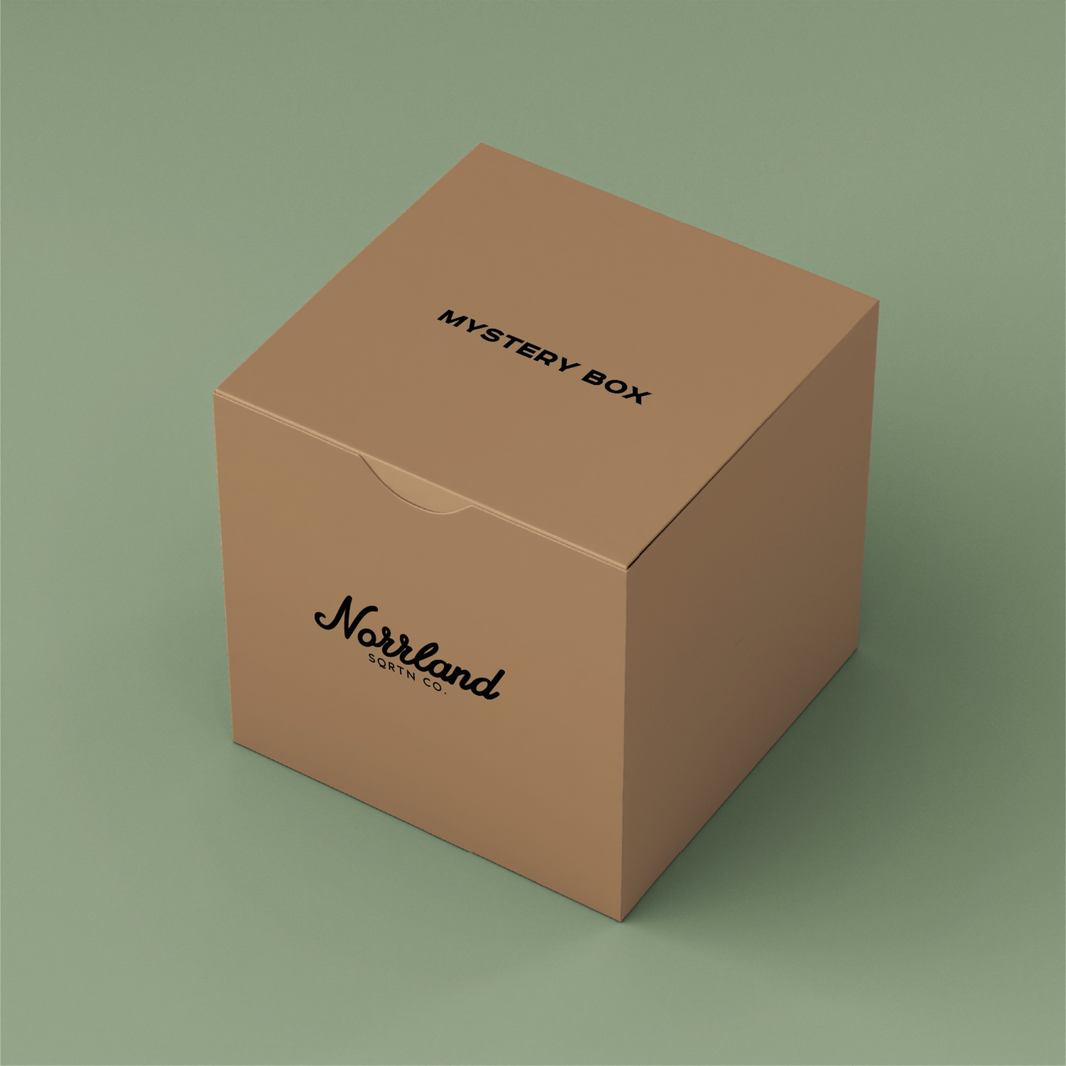 MYSTERYBOX T-SHIRT