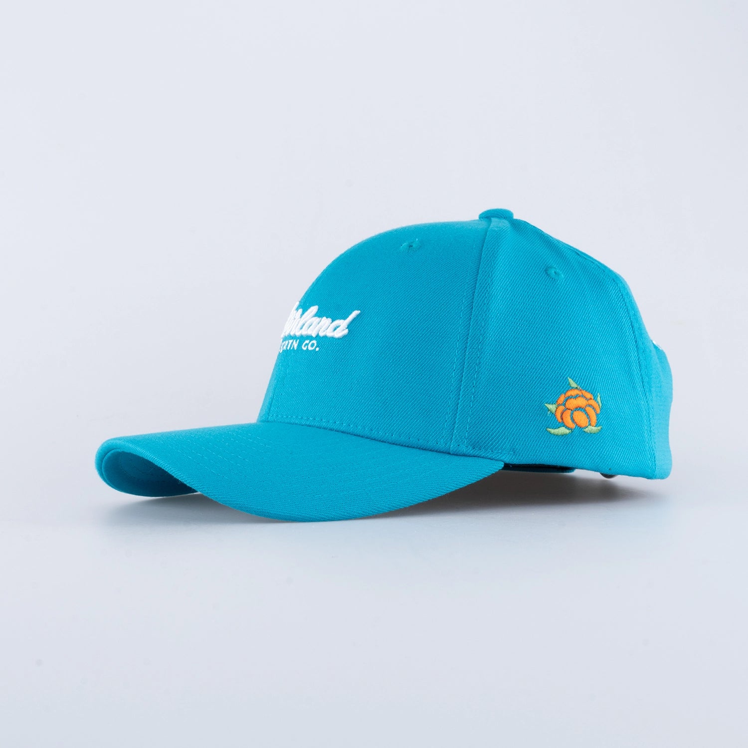 TGN SCRIPT CAP - HOOKED TROPICAL BLUE