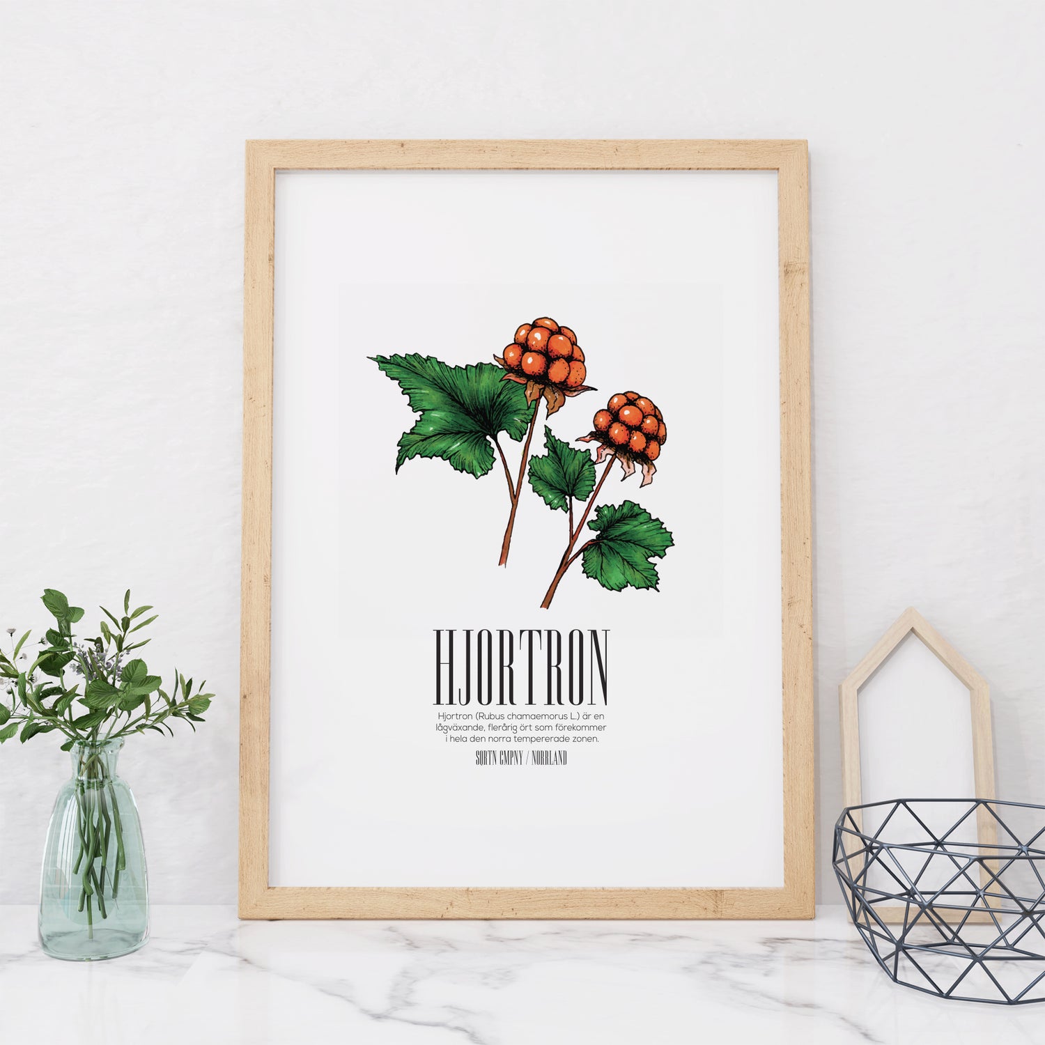 POSTER HJORTRON