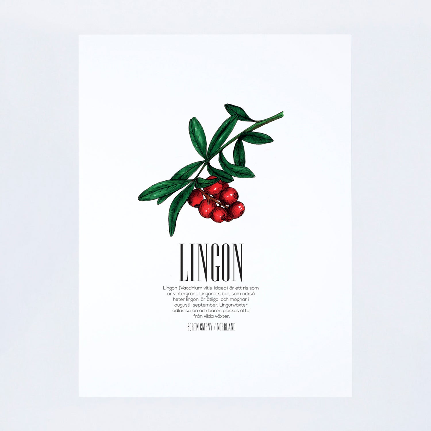 POSTER LINGON