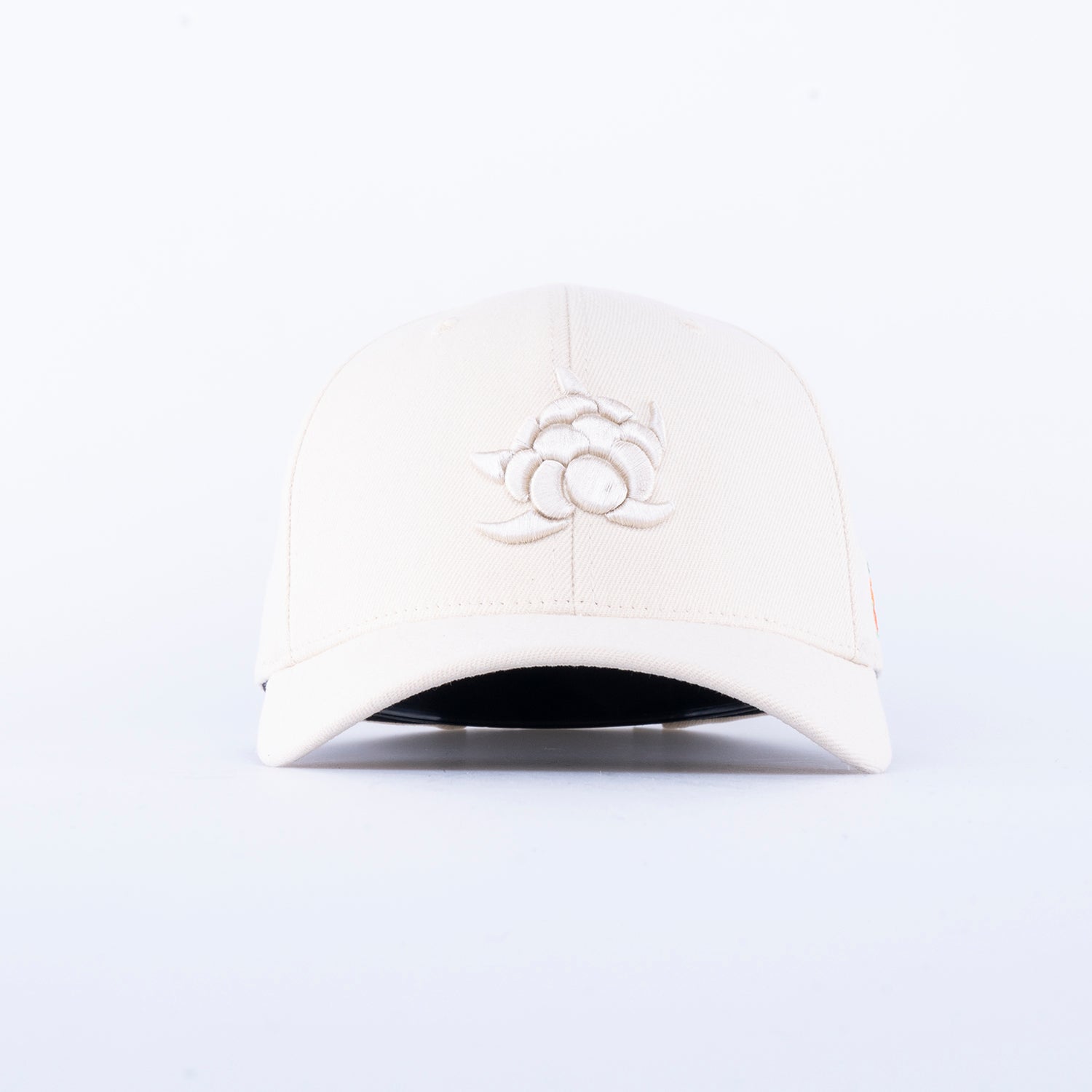 CB BIG 120 CAP - SAND