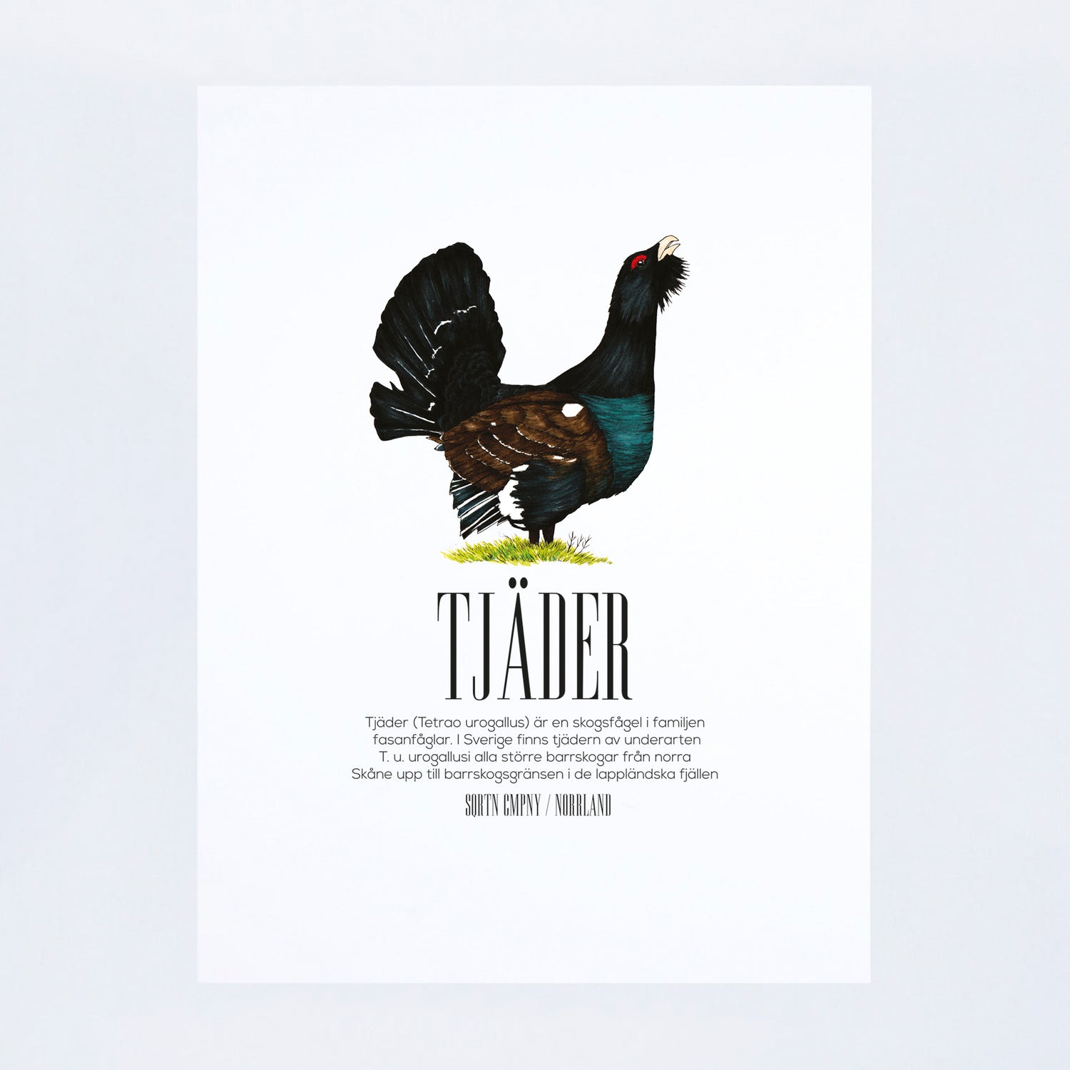 POSTER TJÄDER