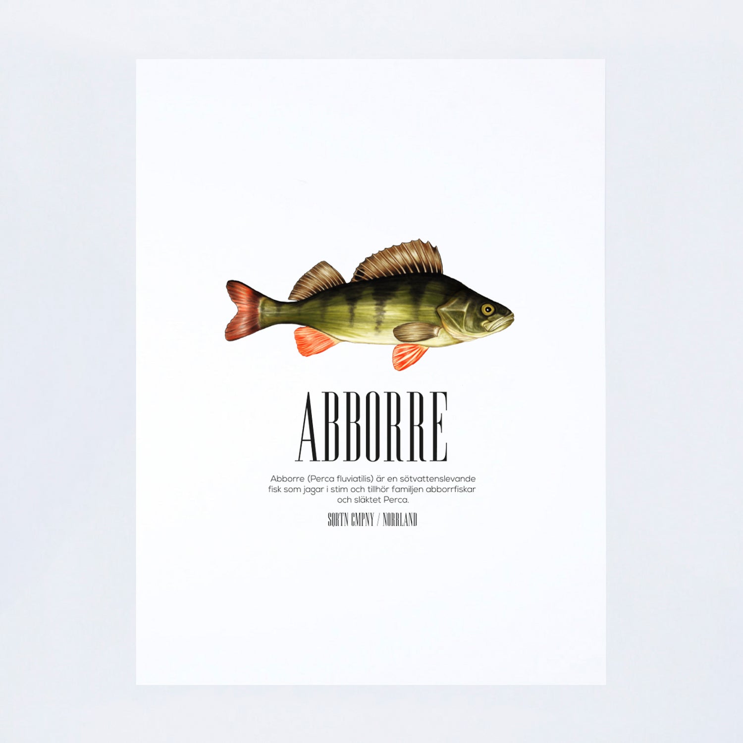 POSTER PERCA FLUVIATILIS