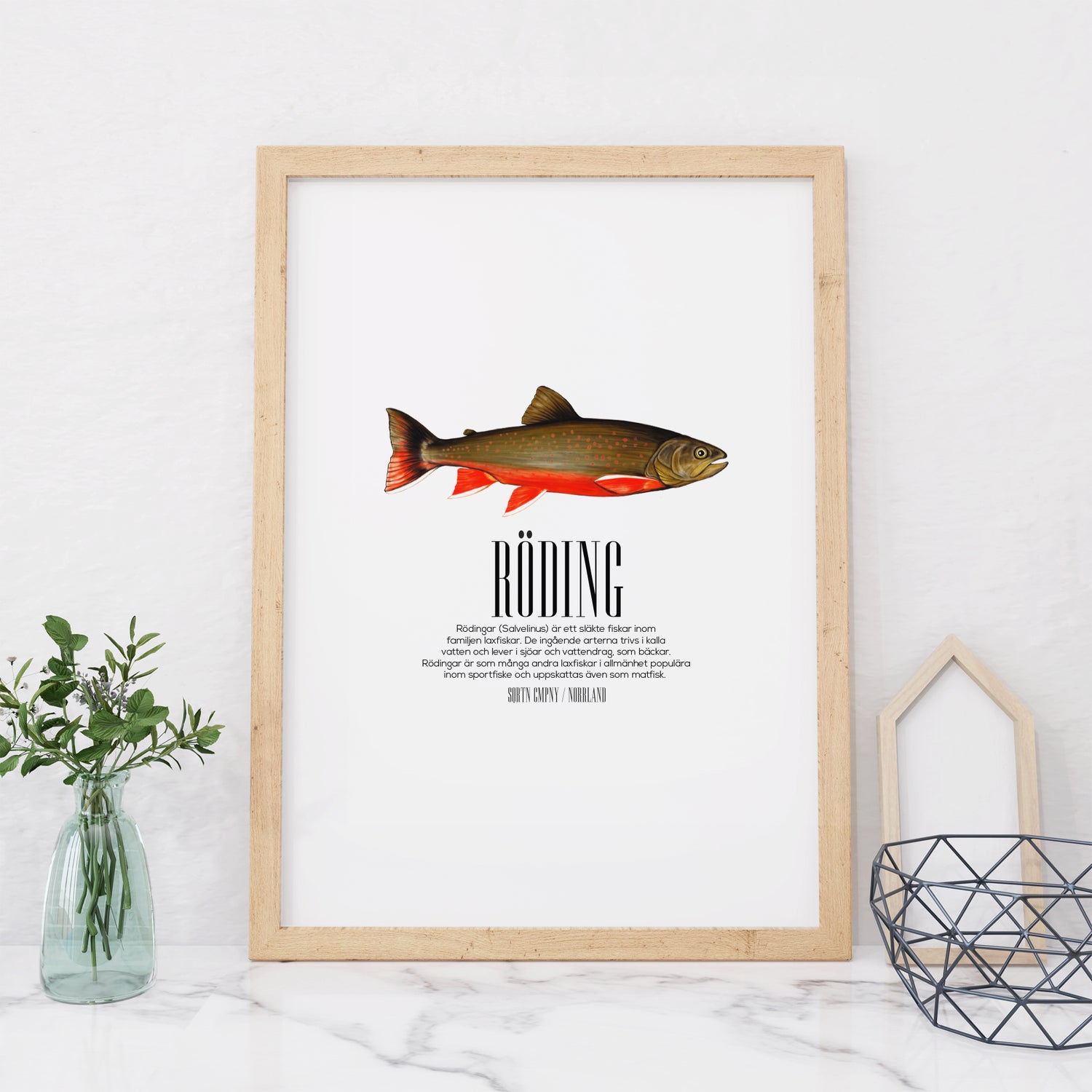 POSTER SALVELINUS