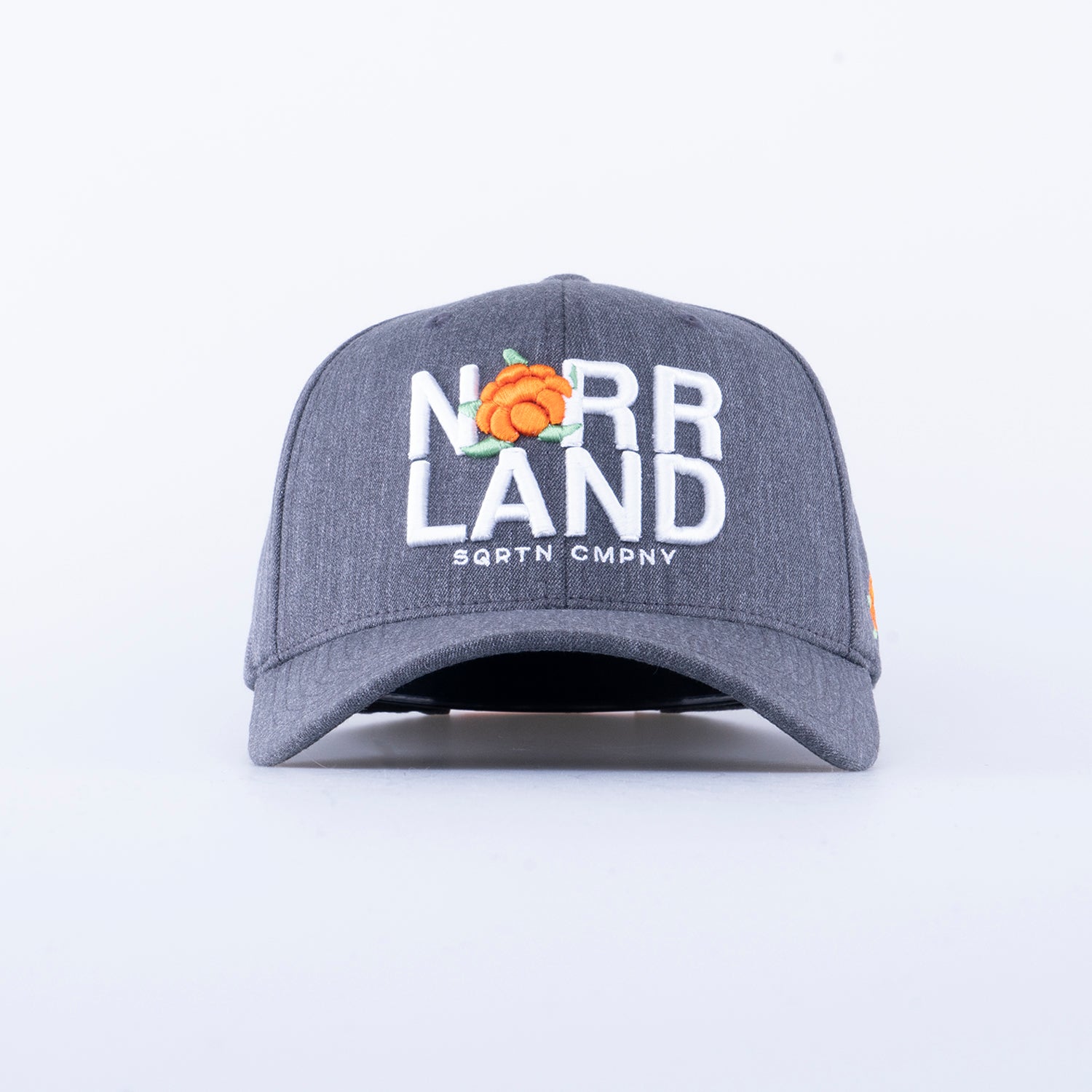 REPRESENT 120 CAP - CHARCOAL
