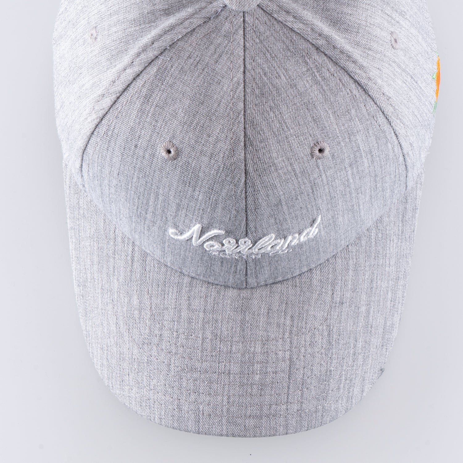 TGN SCRIPT CAP - HOOKED GREY
