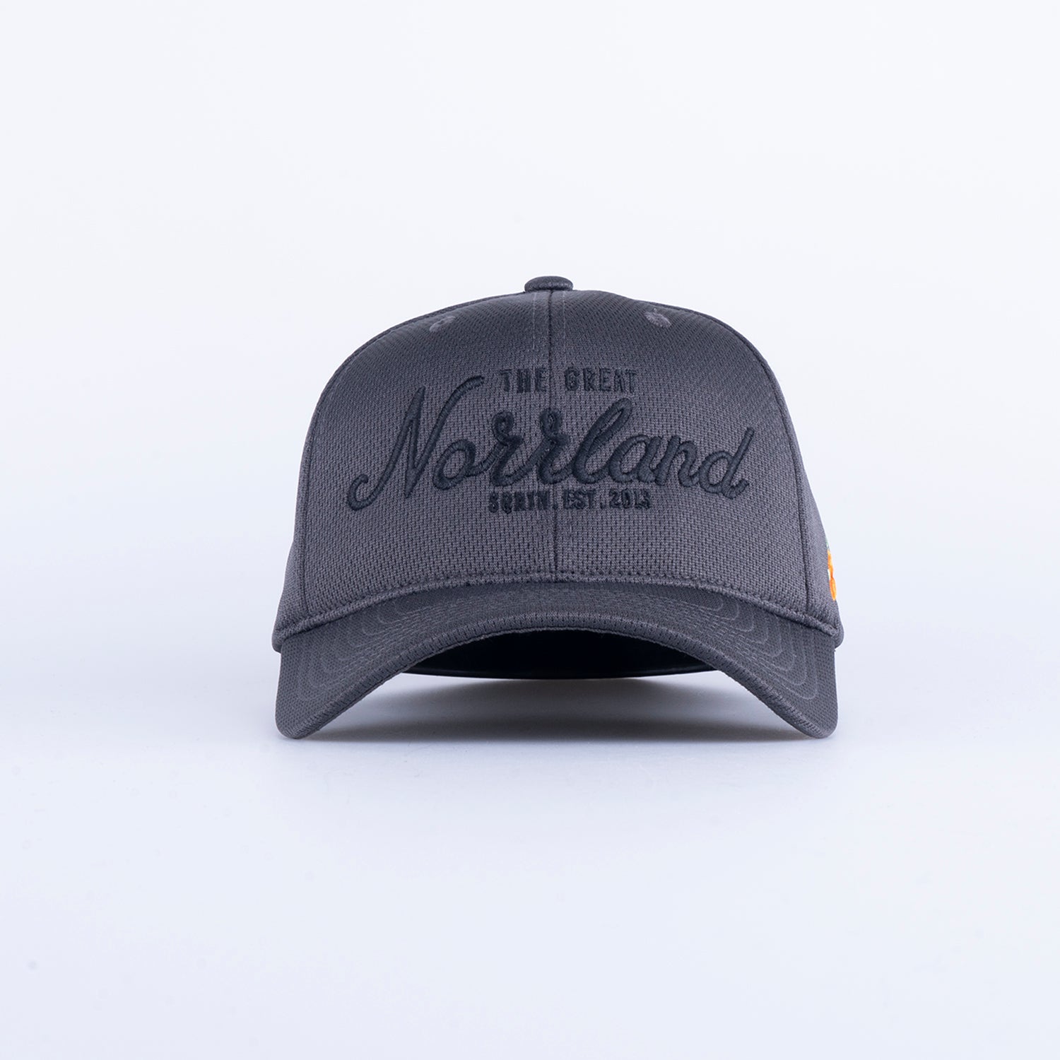 TGN SPORT FLEX CAP - DARK GREY