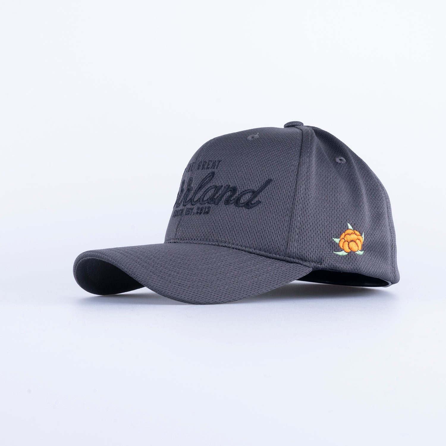 TGN SPORT FLEX CAP - DARK GREY