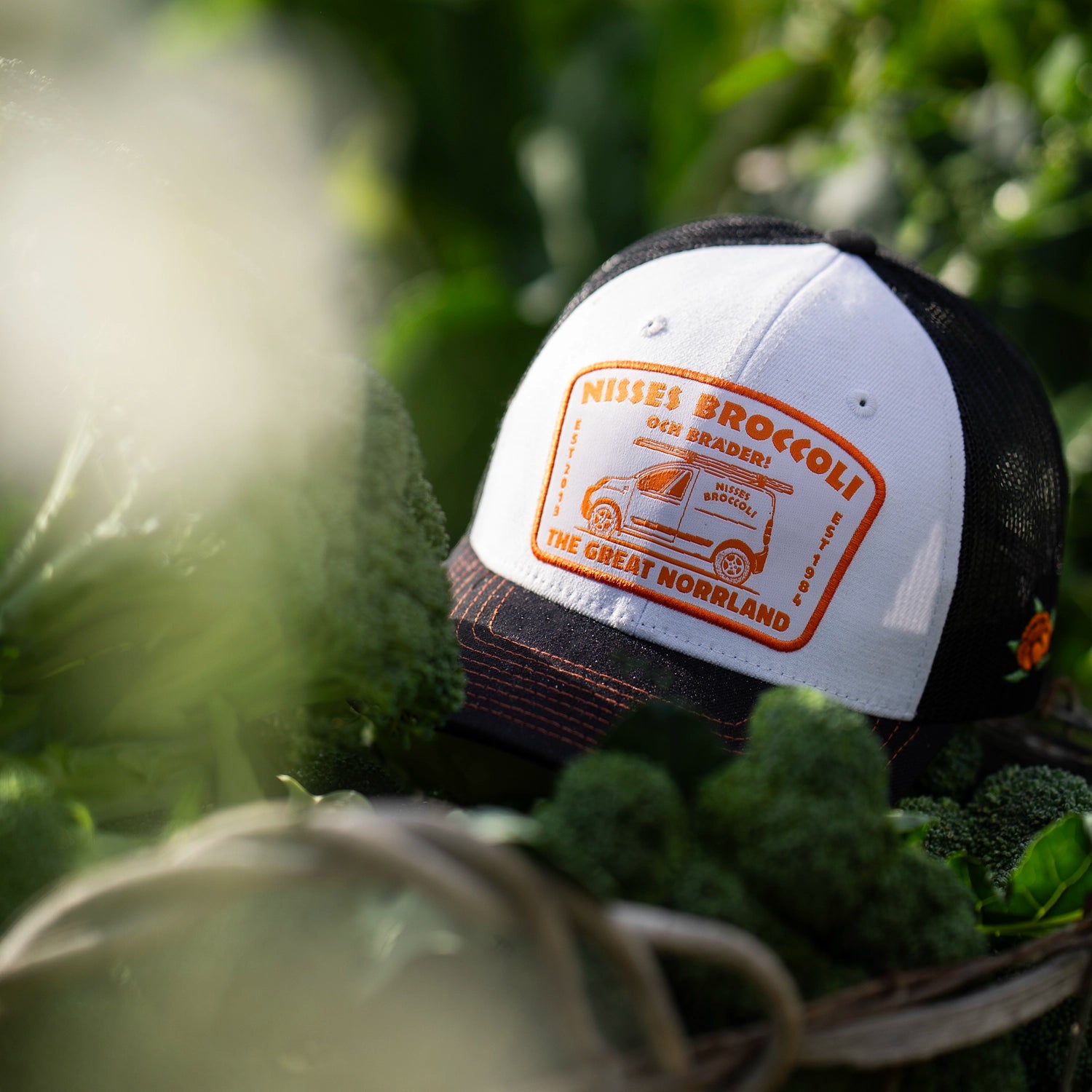 NISSES LOW TRUCKER KEPS - WHITE