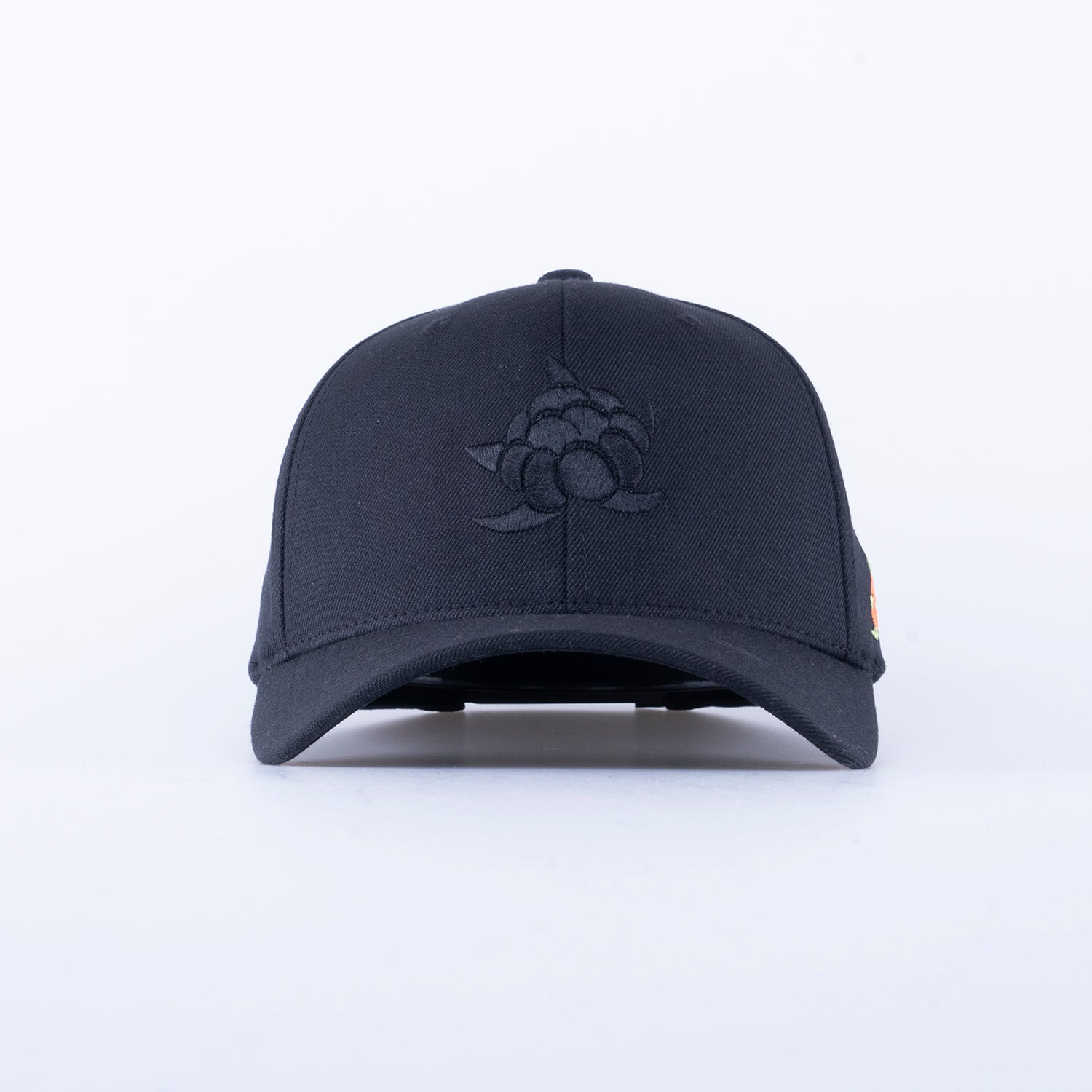 CB BIG 120 CAP - ALL BLACK