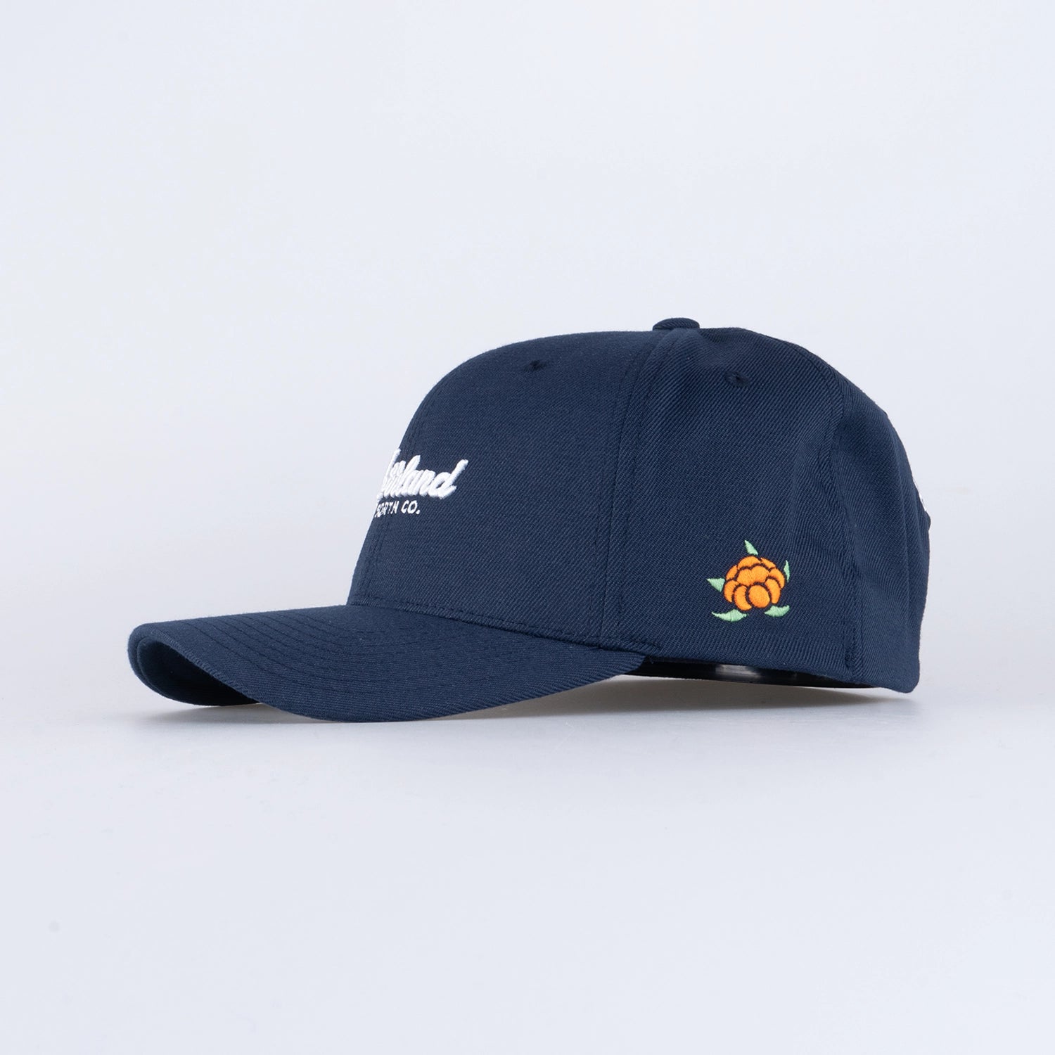 TGN SCRIPT 120 CAP - NAVY